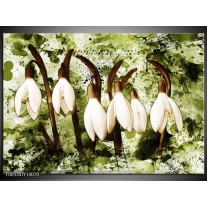 Foto canvas schilderij Bloem | Groen, Bruin, Wit 