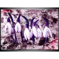 Foto canvas schilderij Bloem | Paars, Wit 