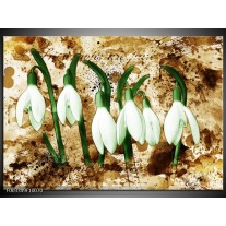 Foto canvas schilderij Bloem | Groen, Bruin, Wit 