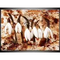 Foto canvas schilderij Bloem | Bruin, Wit 