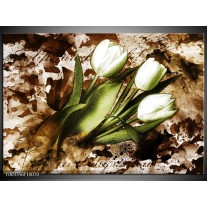 Glas schilderij Tulpen | Groen, Bruin, Wit 