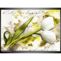 Foto canvas schilderij Tulpen | Groen, Wit, Geel 