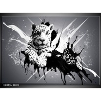 Foto canvas schilderij Dieren | Zwart, Wit, Grijs 