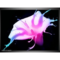 Foto canvas schilderij Bloem | Paars, Blauw, Wit 