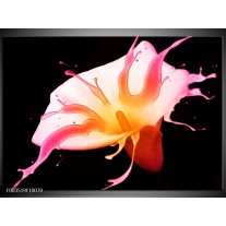 Foto canvas schilderij Bloem | Roze, Geel, Oranje 