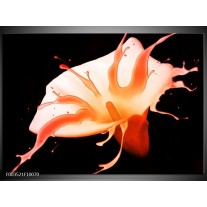 Foto canvas schilderij Bloem | Oranje, Zwart 