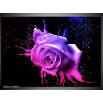 Foto canvas schilderij Roos | Roze, Paars, Blauw 