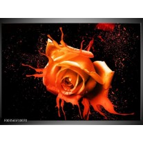 Foto canvas schilderij Roos | Oranje, Zwart 