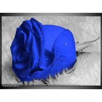 Foto canvas schilderij Roos | Blauw, Grijs, Wit 