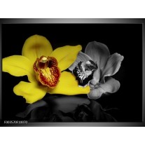 Foto canvas schilderij Orchidee | Geel, Grijs, Zwart 