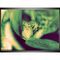 Foto canvas schilderij Macro | Groen, Geel 