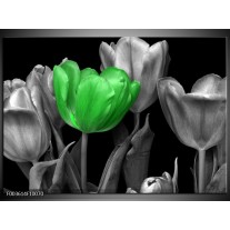 Foto canvas schilderij Tulp | Groen, Grijs, Zwart 