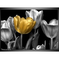 Glas schilderij Tulp | Goud, Zilver, Grijs 