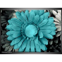 Foto canvas schilderij Gerbera | Blauw, Grijs 