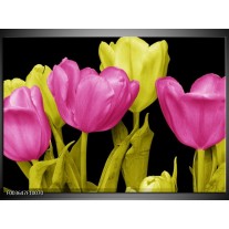 Foto canvas schilderij Tulp | Roze, Geel, Zwart 