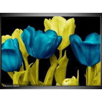 Foto canvas schilderij Tulp | Blauw, Geel, Zwart 