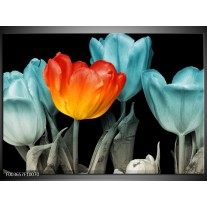 Foto canvas schilderij Tulp | Oranje, Blauw, Zwart 