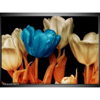 Glas schilderij Tulp | Blauw, Oranje, Zwart 