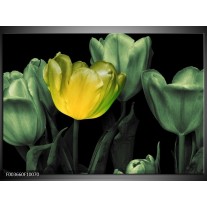 Foto canvas schilderij Tulp | Groen, Geel, Zwart 