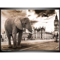 Foto canvas schilderij Olifant | Grijs, Zwart 