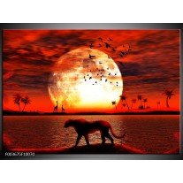 Foto canvas schilderij Natuur | Rood, Wit, Zwart 