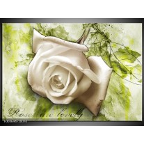 Foto canvas schilderij Roos | Groen, Wit 