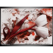 Foto canvas schilderij Tulp | Rood, Wit, Bruin 