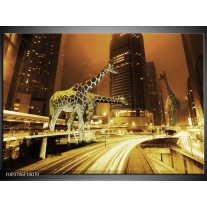 Foto canvas schilderij Giraffe | Geel, Bruin, Zwart 