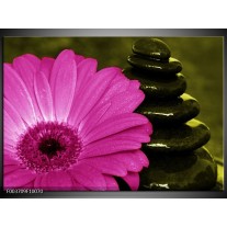 Foto canvas schilderij Bloem | Roze, Zwart, Groen 