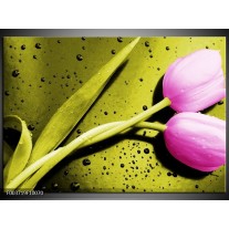 Foto canvas schilderij Tulp | Roze, Groen, Wit 