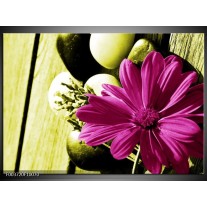 Foto canvas schilderij Bloem | Roze, Groen, Wit 