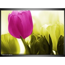 Foto canvas schilderij Tulp | Roze, Groen, Wit 