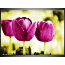 Foto canvas schilderij Tulp | Roze, Groen, Wit 