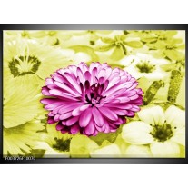 Foto canvas schilderij Bloem | Roze, Groen, Wit 