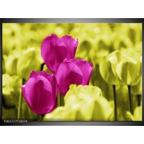 Foto canvas schilderij Tulp | Roze, Groen, Wit 