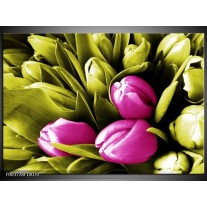 Foto canvas schilderij Tulp | Roze, Groen, Wit 