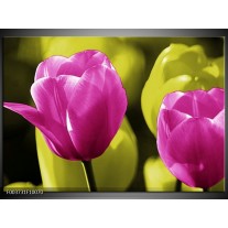 Foto canvas schilderij Tulp | Roze, Groen, Zwart 