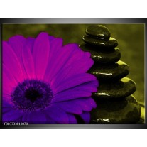 Foto canvas schilderij Bloem | Paars, Groen, Wit 