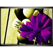 Foto canvas schilderij Bloem | Paars, Groen, Wit 