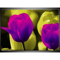 Foto canvas schilderij Tulp | Paars, Groen, Wit 