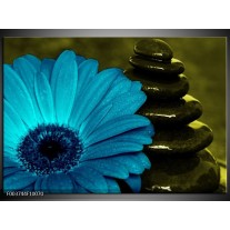 Foto canvas schilderij Bloem | Blauw, Zwart, Groen 