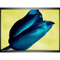 Foto canvas schilderij Tulp | Blauw, Zwart, Groen 