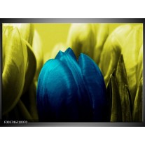 Foto canvas schilderij Tulp | Blauw, Zwart, Groen 