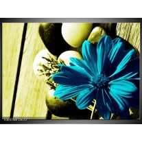 Foto canvas schilderij Bloem | Blauw, Zwart, Groen 