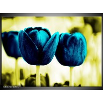 Foto canvas schilderij Tulp | Blauw, Zwart, Groen 