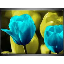 Foto canvas schilderij Tulp | Blauw, Zwart, Groen 