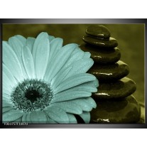 Foto canvas schilderij Bloem | Blauw, Zwart, Groen 