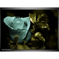 Foto canvas schilderij Roos | Blauw, Zwart, Groen 