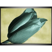 Foto canvas schilderij Tulp | Blauw, Zwart, Groen 