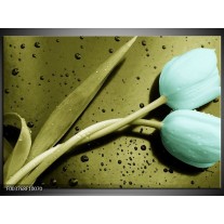 Foto canvas schilderij Tulp | Blauw, Zwart, Groen 